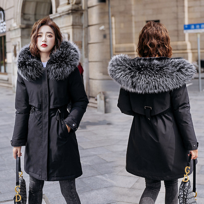 Cotton Padded Jacket